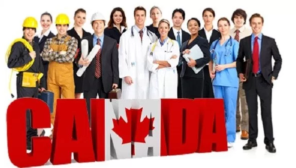 تعرف على بنود عرض التوظيف في كندا وما هي الجهات الرسمية المسؤولة عن موافقات والعقود
