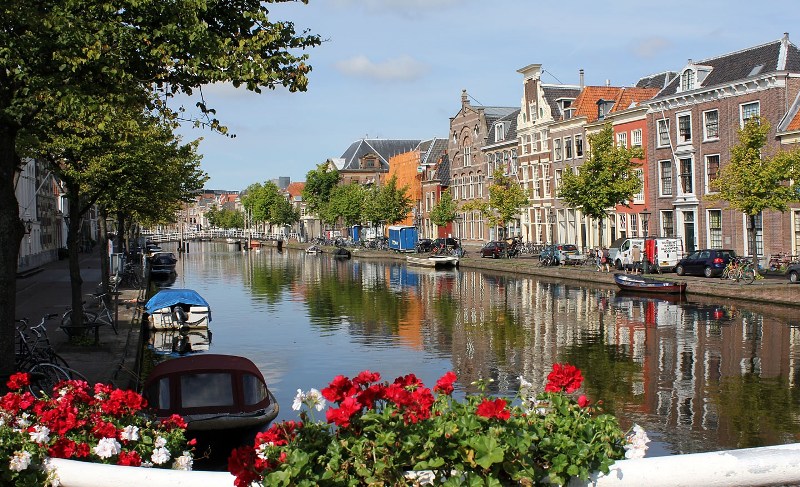 السفر إلى هولندا للعمل والجنسيات العربية المطلوبة بهولندا