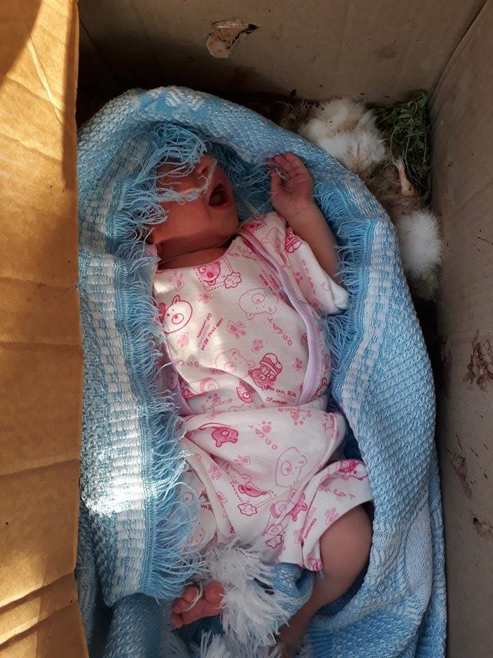 بالصور العثور على طفل رضيع داخل صندوق ارانب ميته في ام الدنانير بمحافظة البلقاء