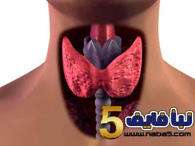 ما هي مشاكل الغدة الدرقية