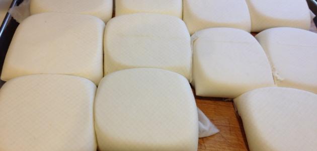 طريقة سهلة وسريعة لعمل الجبنة في المنزل