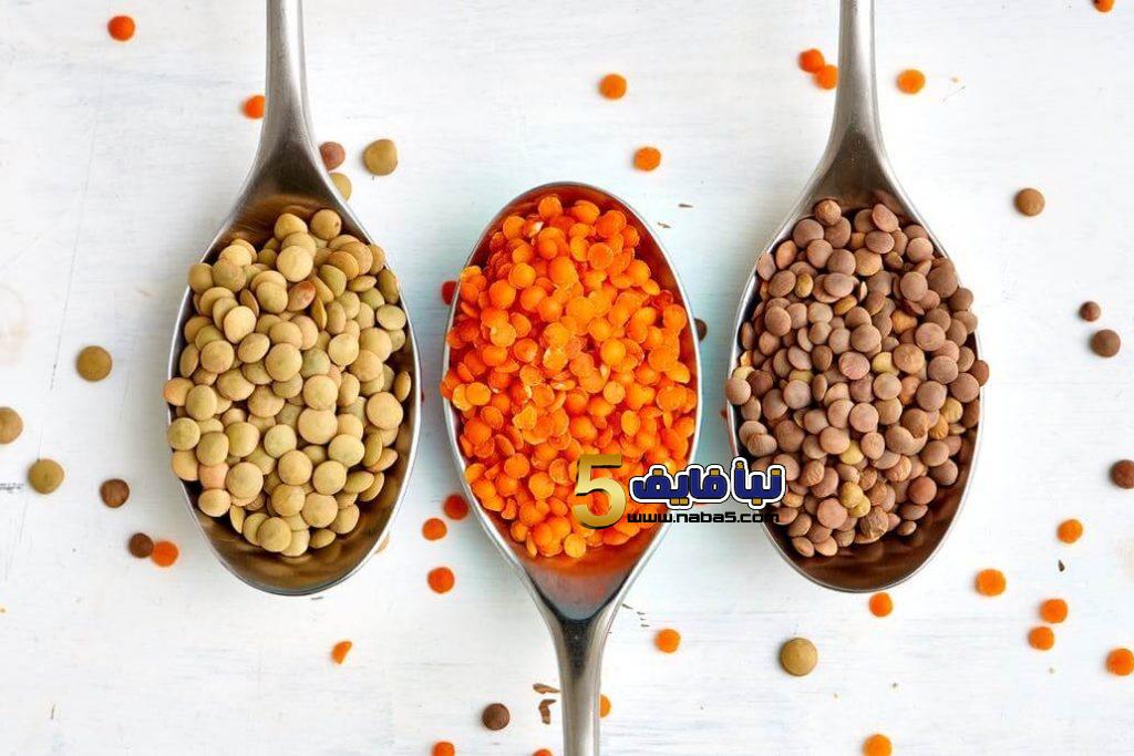 طريقة زراعة العدس بالخطوات