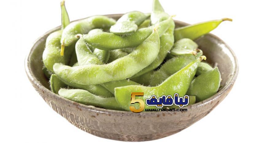 تعرف على كيفية زراعة نبات الفول بالخطوات