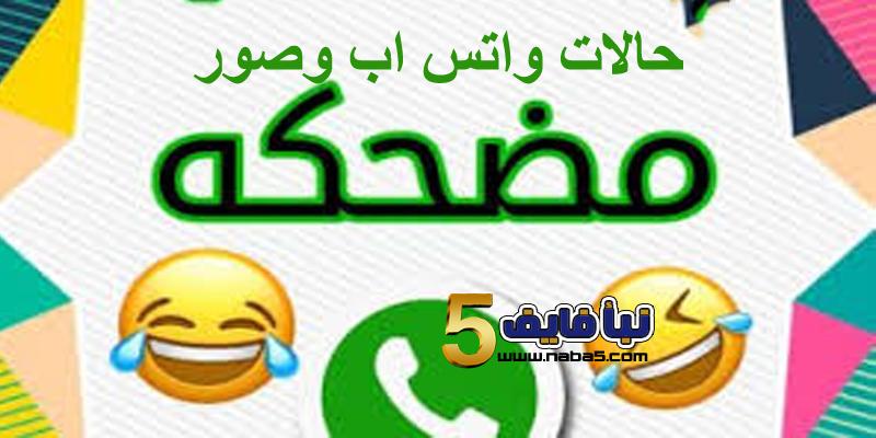 حالات واتس اب مضحكة وكوميدية 2019