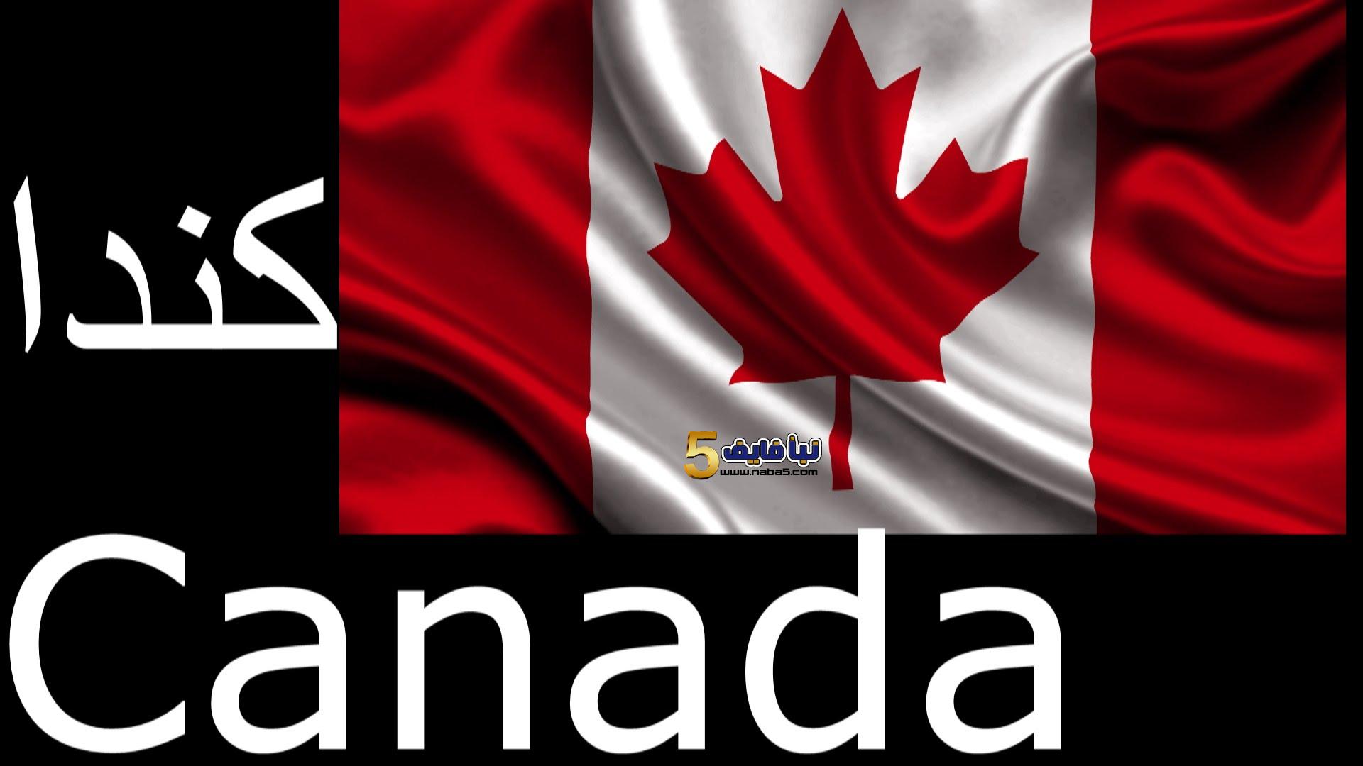 تعرف على حقوق المهاجر إلى كندا وهل تزداد عقب حصوله على الجنسية؟