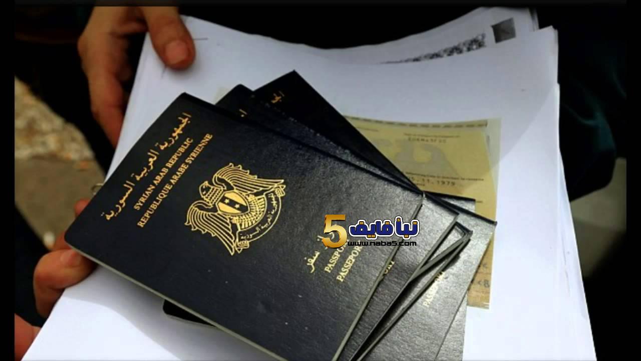متطلبات تجديد جواز السفر للسوريين في دولة تركيا