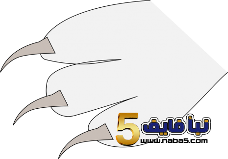 تفسير حلم المخالب في المنام