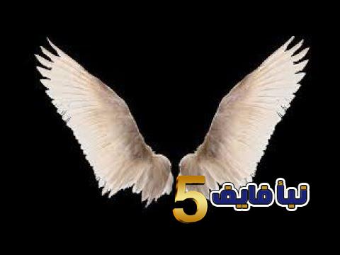 تفسير حلم الأجنحة في المنام