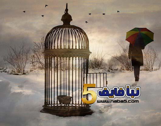 تفسير القفص في المنام