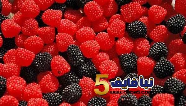 تفسير حلم التوت في المنام للامام الصادق