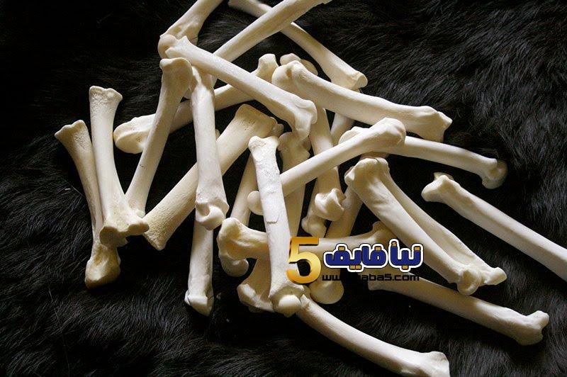 تفسير رؤية عظام في المنام