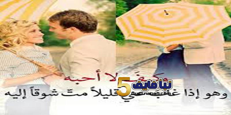 كلام في الحب لحبيبي