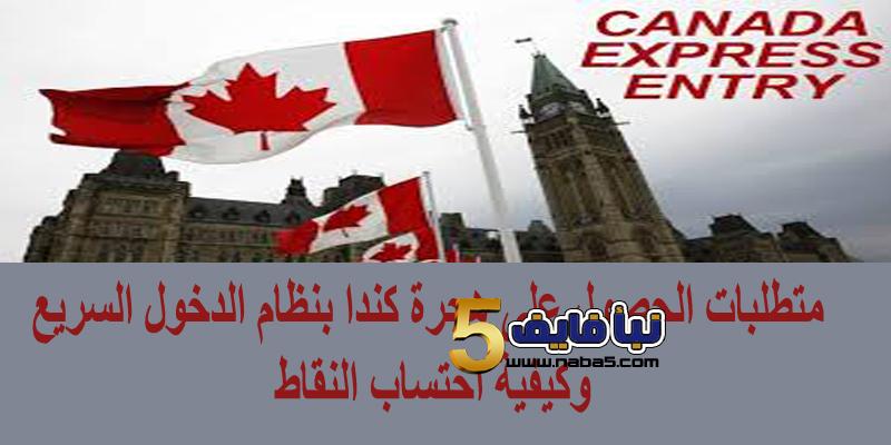 متطلبات الحصول على هجرة كندا بنظام الدخول السريع وكيفية احتساب النقاط