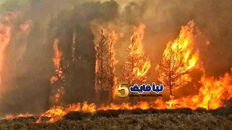 حرائق كبيرة تجتاح لبنان .. واستنفار كبيرة لأخمادها