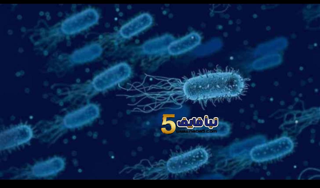 الصحة تحذر من جرثومة تصيب الصغار والمخالطين للمصابين