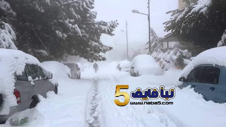 تساقط الثلوج على بعض المناطق في الأردن