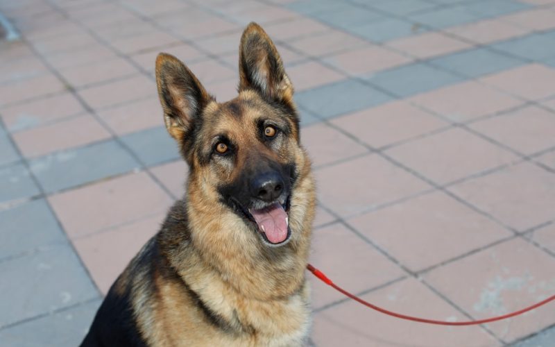 وفاة طفل في محافظة مادبا