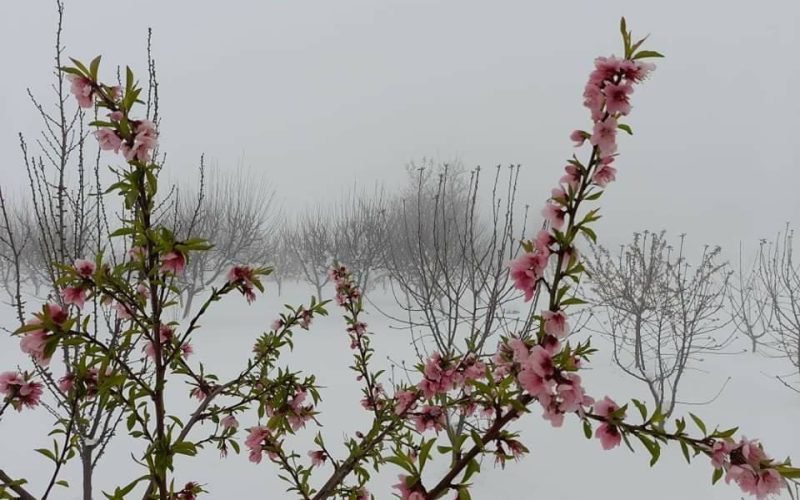 الاردنيون على موعد باقتراب منخفض قطبي مع احتمالية لتساقط الثلوج