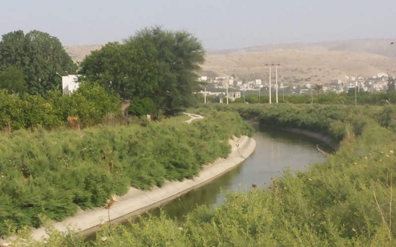 العثور على جثة شب في قناة الملك عبد الله