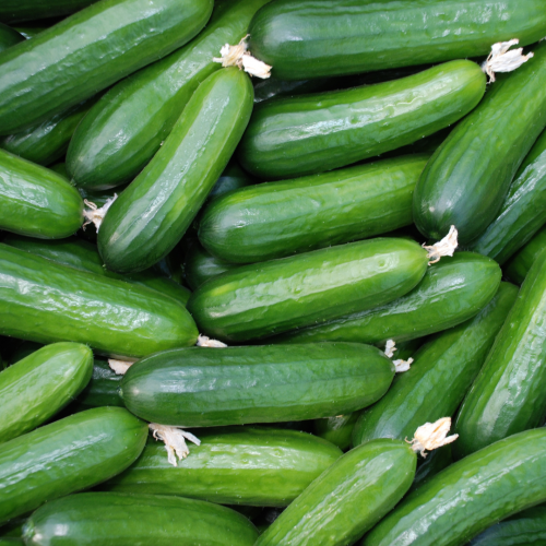 معجزه الخيار قبل النوم طلع مش للسلطه وبس