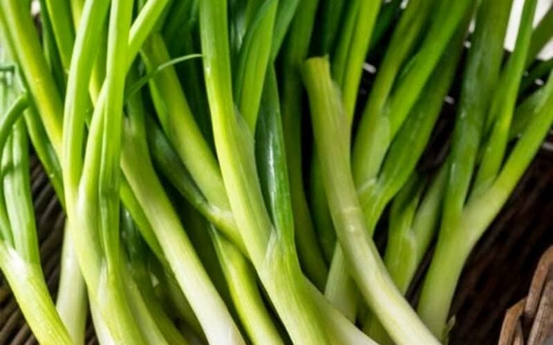 دراسات تكشف أن تناول البصل الأخضر يمد الجسم بالعديد من الفوائد الصحية المذهلة، خاصة أنه يحارب الأمراض