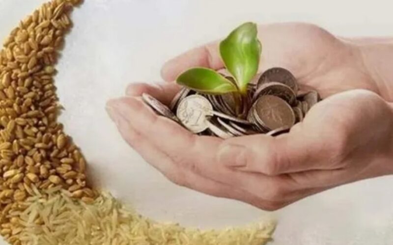 لجنة الزكاة تحدد قيمة زكاة الفطر