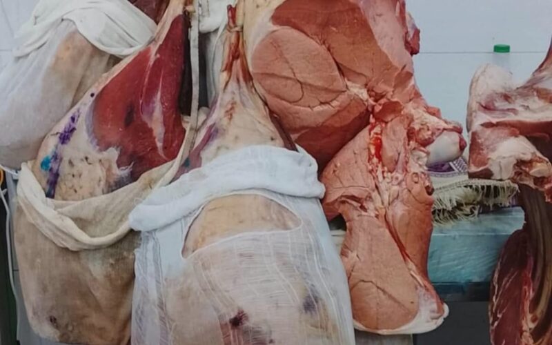 ضبط 188 كغم لحوم منتهية الصلاحية في ضبطت كوادر قسم مراقبة الاسواق