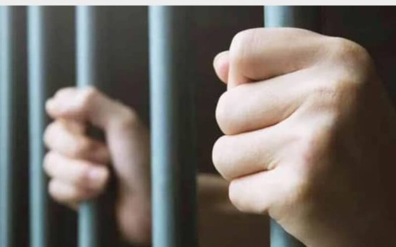 أخذها من الشارع إلى تحت الشجرة.. واقعة هزت ذيبان تنتهي بالسجن سنتين